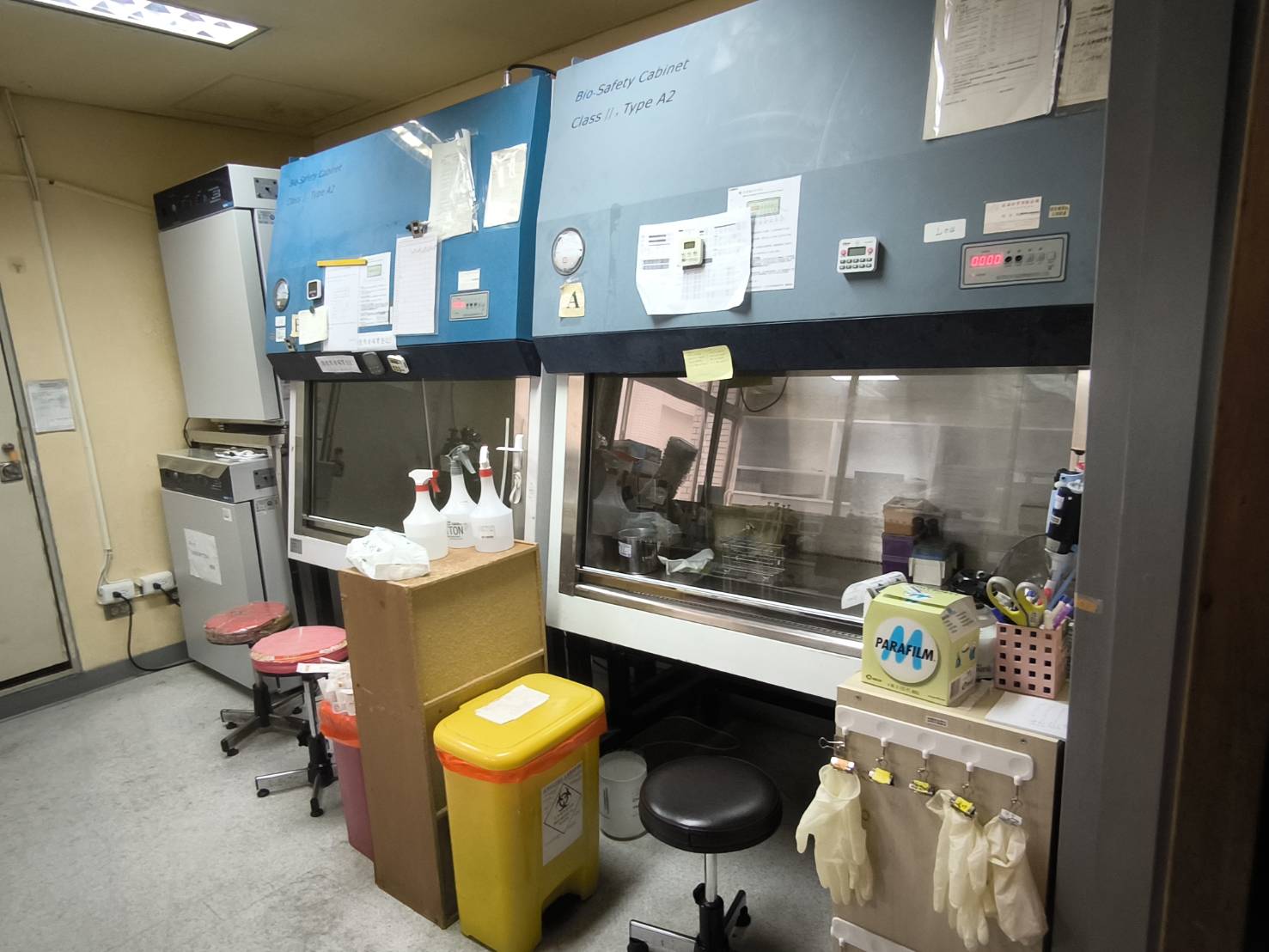 高雄醫學大學 醫學系 微生物暨免疫學科 - Facilities & Equipment